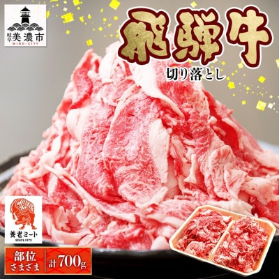 【 飛騨牛 】切り落とし 計700g 黒毛和牛 国産牛 BBQにも 養老ミート