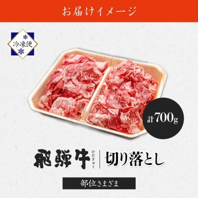 【 飛騨牛 】切り落とし 計700g 黒毛和牛 国産牛 BBQにも 養老ミート