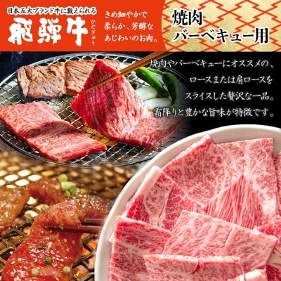 【 飛騨牛 】ロースor肩ロース 焼き肉・BBQ用 計600g 黒毛和牛 養老ミート(牛脂付)