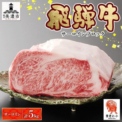 【 飛騨牛 】サーロインブロック ステーキ用 5kg 黒毛和牛 霜降り 養老ミート