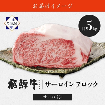 【 飛騨牛 】サーロインブロック ステーキ用 5kg 黒毛和牛 霜降り 養老ミート