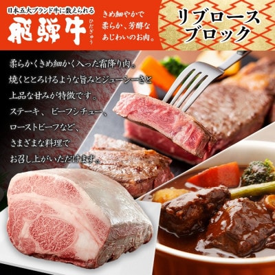 【 飛騨牛 】リブロースブロック ステーキ用 5kg 黒毛和牛 霜降り 養老ミート