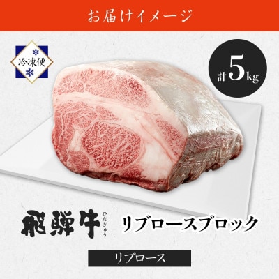 【 飛騨牛 】リブロースブロック ステーキ用 5kg 黒毛和牛 霜降り 養老ミート