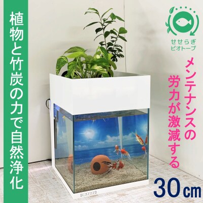 ビオアクア30型照明+スチールカバー(白色)