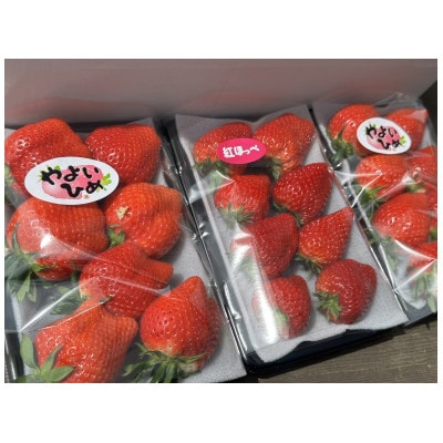 群馬県産【贈答用】「やよいひめ」と「おすすめのいちご」320g×3トレー プレゼントにもおすすめ♪