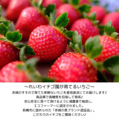 【ふるさと納税】群馬県産　贈答用　甘酒　「いちごの甘酒」500ml×6本セット　ノンアルコール