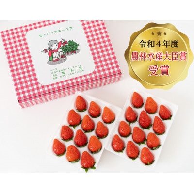 群馬県産 贈答用やよいひめ(いちご)約800g【農林水産大臣賞】