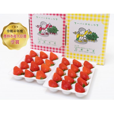 群馬県産 贈答用いちご2品種食べ比べセット　約800g【農林水産大臣賞】