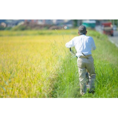 群馬県産あさひの夢　精米10kg(5kg×2袋)