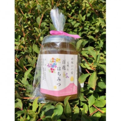 赤城山の愛　天然生　百花はちみつ(2本入り)
