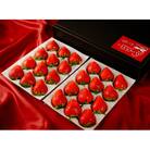 群馬県やよいひめ(いちご)約400g x 2トレー