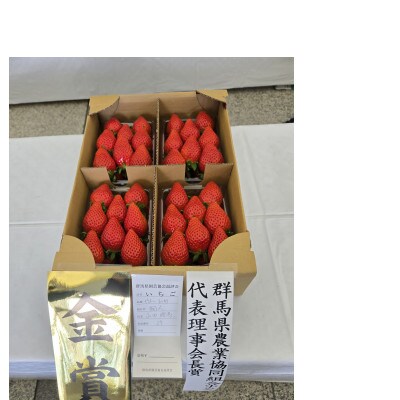 群馬県いちご品評会金賞やよいひめ約400g×6パック　こだわりの栽培で極めた味、コク、香り、甘さ