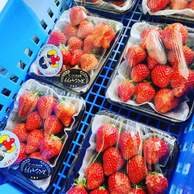 3～6種類食べ比べ約150g×6パック　それぞれ違う味、香り、旨み、甘さいちごテーマパーク