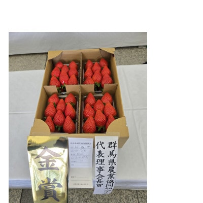 群馬県いちご品評会金賞やよいひめ　約500g×2パック　かなり強い香り、味を皆様のもとへ