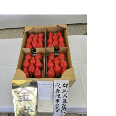 2026年群馬県いちご品評会金賞　やよいひめ　コク、甘さ、香りが強いいちご　150g×4パック