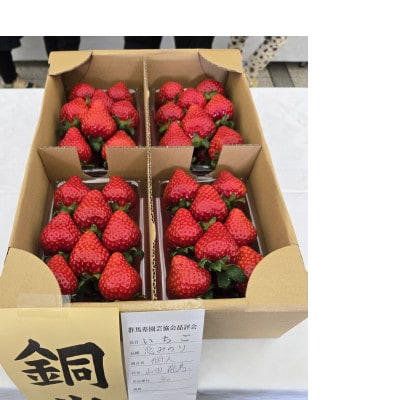 2026年群馬県いちご品評会金賞　やよいひめ　コク、甘さ、香りが強いいちご　150g×4パック
