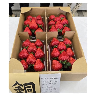 2026年群馬県いちご品評会金賞やよいひめと厳選1品種　280g×計4パック
