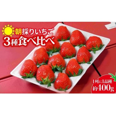 厳選3種類食べ比べ400g×1パック　違った香り、甘さ、味を味わってください