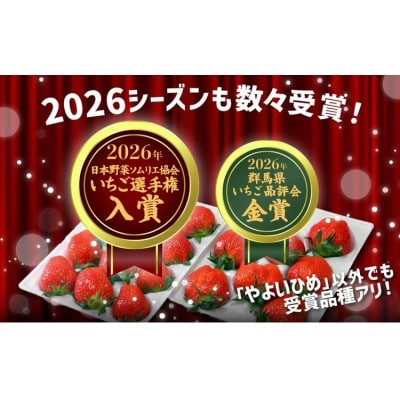 2026年群馬県いちご品評会金賞やよいひめ　500g×1パック　こだわりの味、甘さ、香りが強いいちご