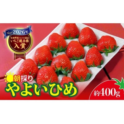 2026年群馬県いちご品評会金賞やよいひめ400g×1パック　こだわりのコク、甘さ、香りが強いいちご