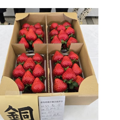 2026年群馬県いちご品評会金賞やよいひめ400g×1パック　こだわりのコク、甘さ、香りが強いいちご