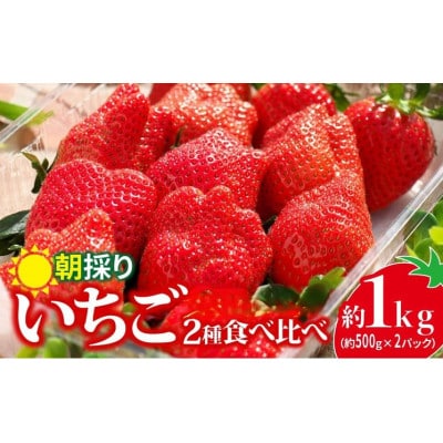 厳選2種類食べ比べ500g×2パック　違った香り、甘さ、味を味わってください