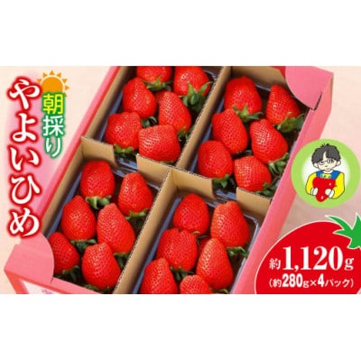 【発送月固定定期便】やよいひめ約280g×4パック 強い香り、味を皆様のもとへ全4回