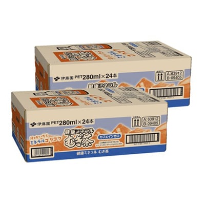 【毎月定期便】伊藤園の健康ミネラルむぎ茶 280mlペット×48本(24本×2ケース)全6回