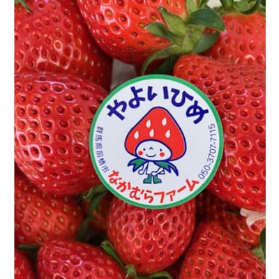 群馬県産やよいひめ　約800g<2026年1月より順次発送>