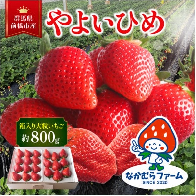 群馬県産やよいひめ　約800g<2027年1月より順次発送>