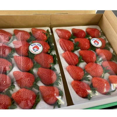 群馬県産やよいひめ　約800g<2026年1月より順次発送>