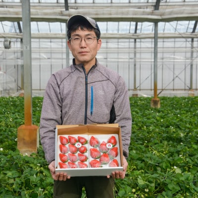 群馬県産やよいひめ　約800g<2027年1月より順次発送>