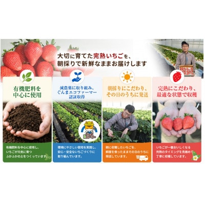群馬県産やよいひめ　約800g<2027年1月より順次発送>