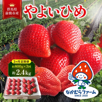 【発送月固定定期便】群馬県前橋市産いちご「やよいひめ」約800g 全3回