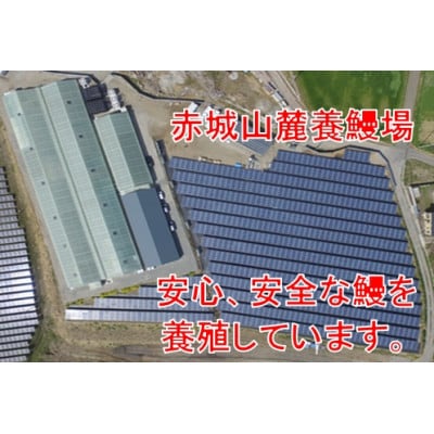赤城山麓上州うなぎ　蒲焼　1尾(150g以上)