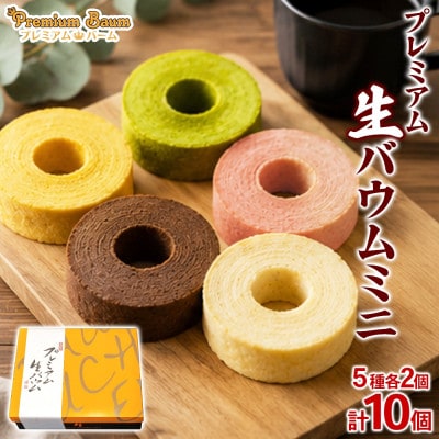 プレミアム生バームミニ 5種×各2個(計10個) 群馬県前橋市