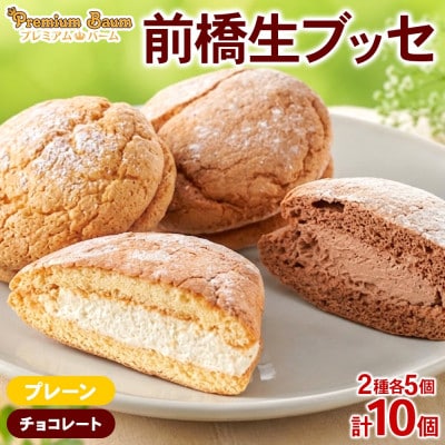前橋生ブッセ プレーン・チョコ 2種×各5個(計10個) 群馬県前橋市