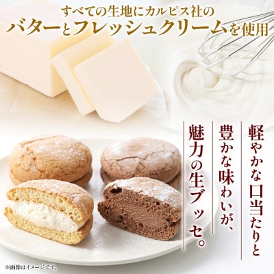 前橋生ブッセ プレーン・チョコ 2種×各5個(計10個) 群馬県前橋市