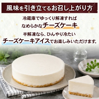 レアチーズケーキ 4号×1台 群馬県前橋市
