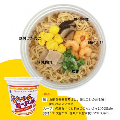 【定期便 全3回】金ちゃんヌードル1箱(12個)×3回　計36個【CR025】