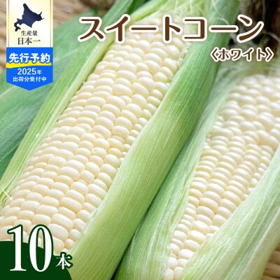 【2025年産先行受付】北海道十勝芽室町 とうもろこし 10本 ホワイト me002-005c-25