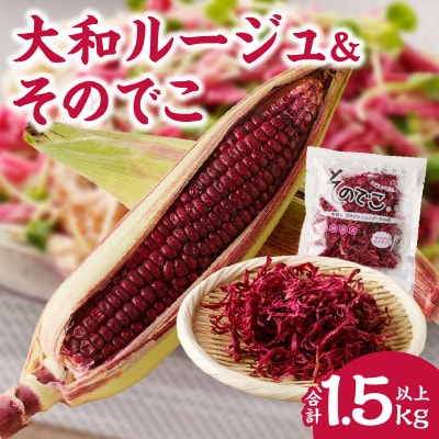 先行受付≪期間限定≫大和ルージュ&そのでこセット(合計1.5kg以上) 野菜 _T003-014