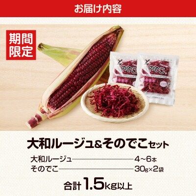 先行受付≪期間限定≫大和ルージュ&そのでこセット(合計1.5kg以上) 野菜 _T003-014