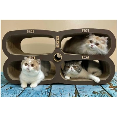 猫の爪とぎ　にゃん莊アパート(部屋番号付)