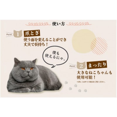 猫の爪とぎ 穴あき枕(カラー:赤)