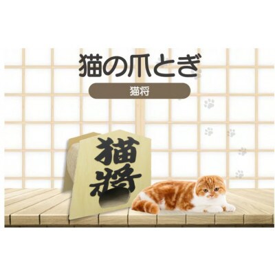 猫の爪とぎ　猫将