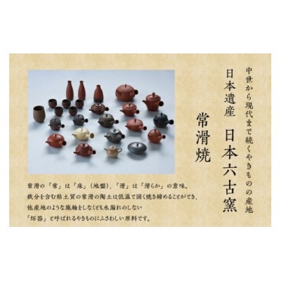 昭萠窯　17号緑丸ノタ木の葉急須
