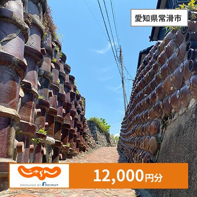 【じゃらんふるさと納税クーポン】 愛知県常滑市でつかえる12,000円 クーポン