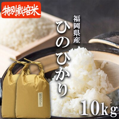 米 10kg 配送当日に精米します 小郡産 特A 特別栽培米 ひのひかり[No5354-0265]
