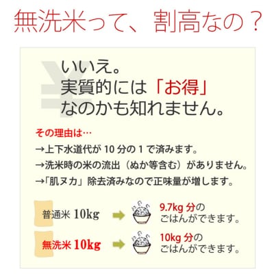 無洗米 10kg 福岡県産 ひのひかり 米[No5354-0267]